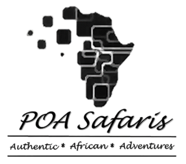 cropped-cropped-cropped-POA-LOGO-PhotoRoom-1.png-PhotoRoom-1-e1690232353799